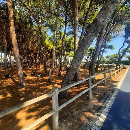 Апартаменты Lia Pt - Myho Casa *