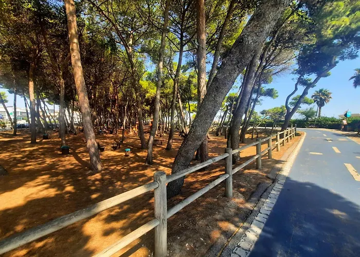 Appartement Lia Pt - Myho Casa *